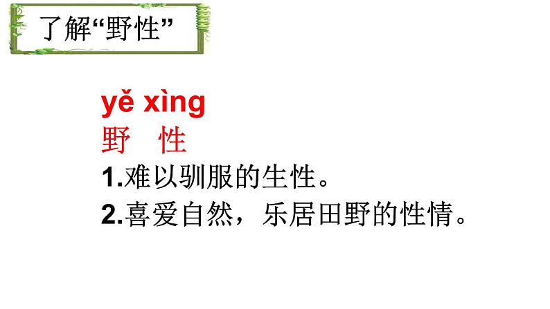 初中语文人教版（部编）八年级下册7大雁归来1 课件06