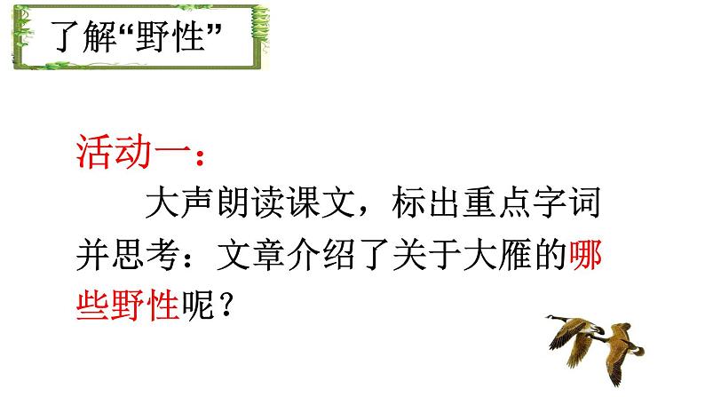 初中语文人教版（部编）八年级下册7大雁归来1 课件07