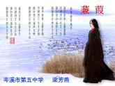 初中语文人教版（部编）八年级下册蒹葭1 课件