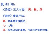 初中语文人教版（部编）八年级下册蒹葭1 课件