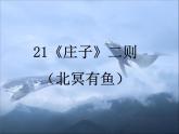 初中语文人教版（部编）八年级下册北冥有鱼1 课件