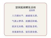 初中语文人教版（部编）八年级下册望洞庭湖赠张丞相2 课件