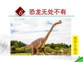 初中语文人教版（部编）八年级下册恐龙无处不有3 课件