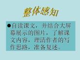 初中语文人教版（部编）八年级下册恐龙无处不有3 课件
