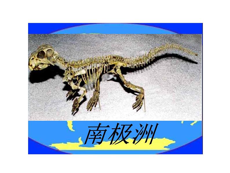 初中语文人教版（部编）八年级下册恐龙无处不有3 课件第4页