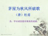 初中语文人教版（部编）八年级下册茅屋为秋风所破歌1 课件