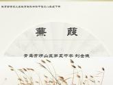 初中语文人教版（部编）八年级下册蒹葭 课件