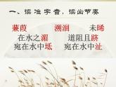 初中语文人教版（部编）八年级下册蒹葭 课件
