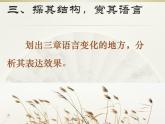 初中语文人教版（部编）八年级下册蒹葭 课件