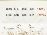 初中语文人教版（部编）八年级下册蒹葭 课件