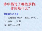 初中语文人教版（部编）八年级下册蒹葭2 课件