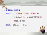 初中语文人教版（部编）八年级下册北冥有鱼 课件