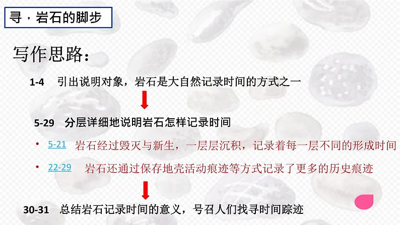 初中语文人教版（部编）八年级下册8时间的脚印 课件05