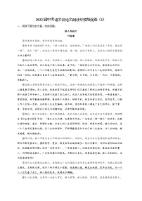 2022届中考语文议论文阅读专项培优卷（1）