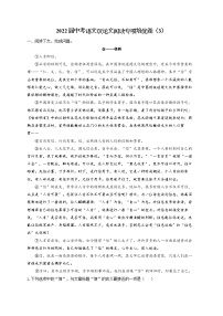 2022届中考语文议论文阅读专项培优卷（3）