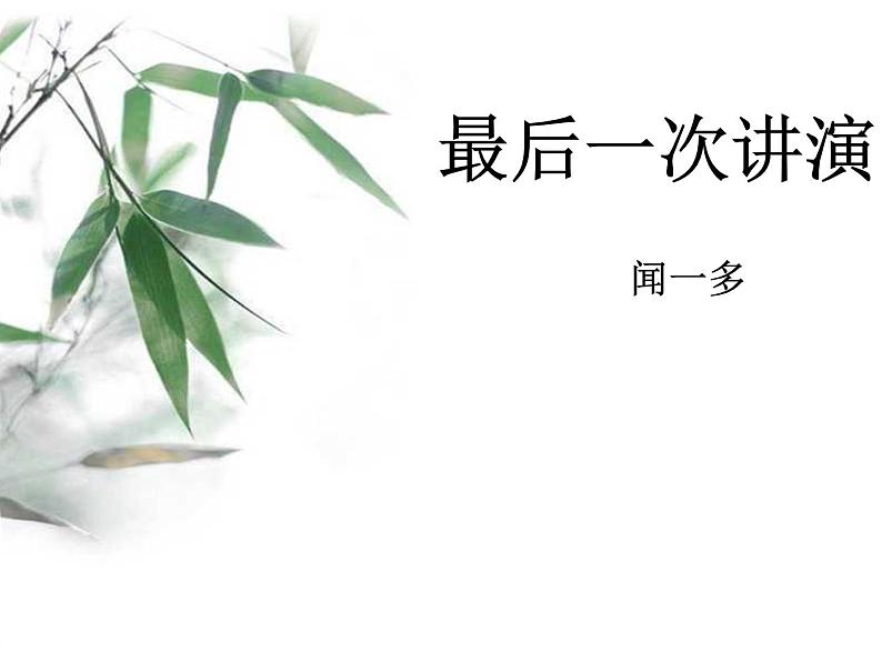 初中语文人教版（部编）八年级下册13最后一次讲演1 课件03