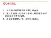 初中语文人教版（部编）八年级下册7大雁归来3 课件