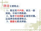 初中语文人教版（部编）八年级下册送友人4 课件