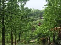 人教部编版九年级下册7* 溜索教案配套课件ppt