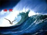 初中语文人教版（部编）九年级下册4海燕1 课件