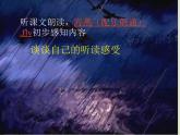 初中语文人教版（部编）九年级下册4海燕1 课件