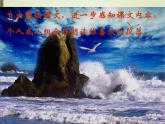 初中语文人教版（部编）九年级下册4海燕1 课件
