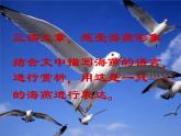 初中语文人教版（部编）九年级下册4海燕1 课件