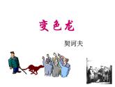 初中语文人教版（部编）九年级下册6变色龙 课件