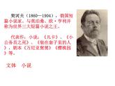初中语文人教版（部编）九年级下册6变色龙 课件