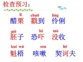 初中语文人教版（部编）九年级下册6变色龙 课件