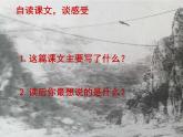 初中语文人教版（部编）九年级下册7溜索 课件
