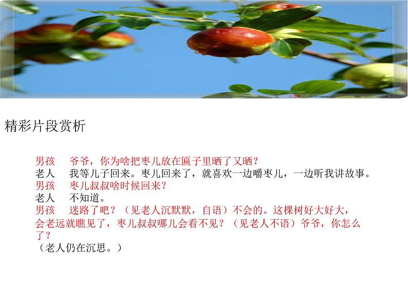初中语文人教版（部编）九年级下册19枣儿 课件06