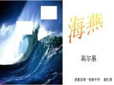 初中语文人教版（部编）九年级下册4海燕 课件
