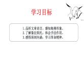 初中语文人教版（部编）九年级下册4海燕 课件