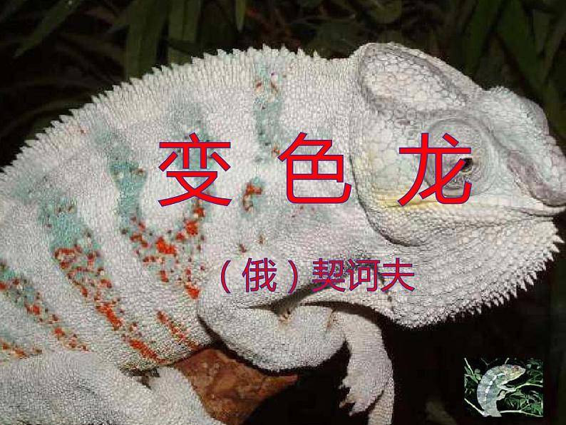 初中语文人教版（部编）九年级下册6变色龙 课件01