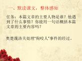 初中语文人教版（部编）九年级下册6变色龙 课件