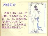 初中语文人教版（部编）九年级下册江城子密州出猎3 课件