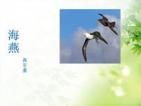 2021学年4 海燕教学ppt课件
