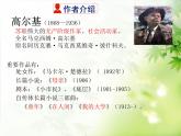 4 海燕教学课件