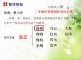 4 海燕教学课件
