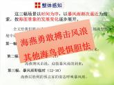 4 海燕教学课件