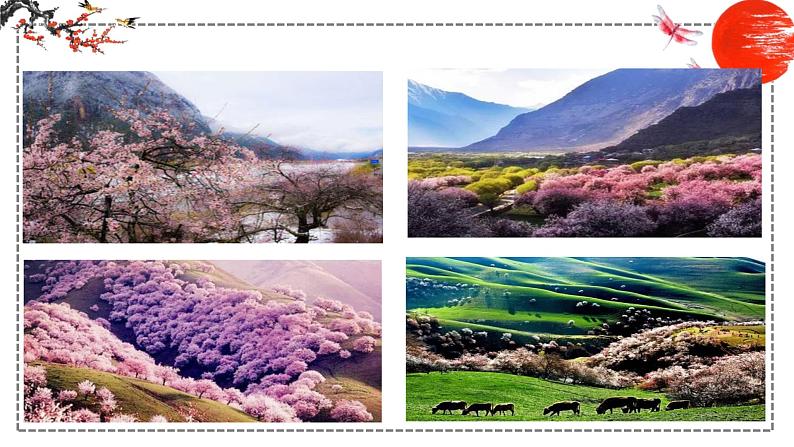 第9课 桃花源记 课件 初中语文人教部编版八年级下册（2022年）03