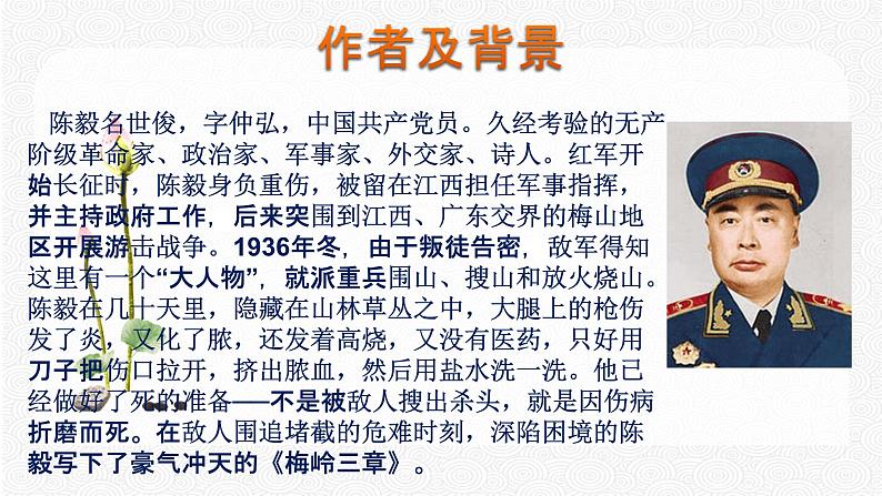 2 梅岭三章 配套课件 初中语文人教部编版九年级下册（2022年）04