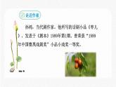 19 枣儿 配套课件 初中语文人教部编版九年级下册（2022年）