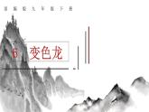 第06课 变色龙 课件2 初中语文人教部编版九年级下册（2022年）