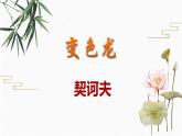 6 变色龙 配套课件 初中语文人教部编版九年级下册（2022年）