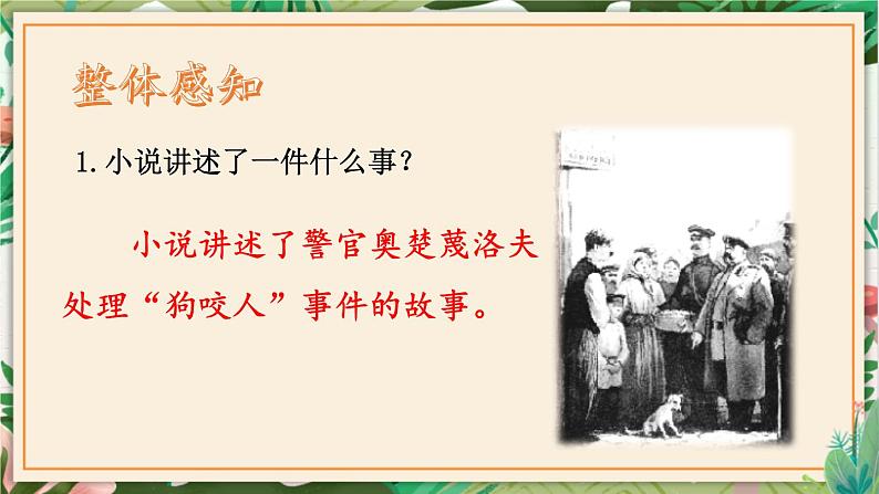 第06课 变色龙 课件 初中语文人教部编版九年级下册（2022年）08