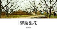 初中语文人教部编版七年级下册15 驿路梨花评课ppt课件