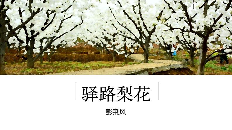 15 驿路梨花 课件 初中语文人教部编版七年级下册（2022年）第1页