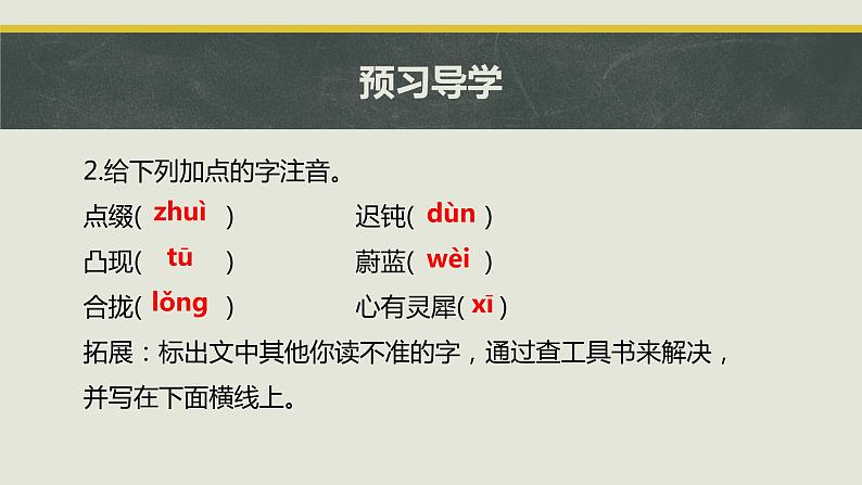 24 带上她的眼睛 课件 初中语文人教部编版七年级下册（2022年）第5页